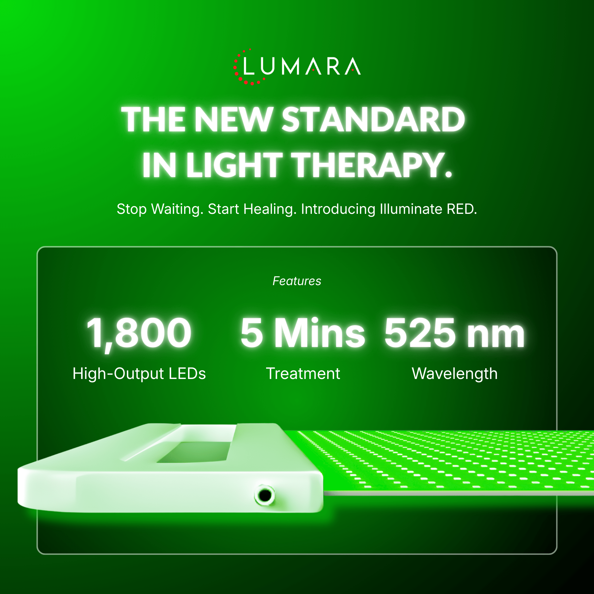 Kassera × Lumara: Illuminate Green