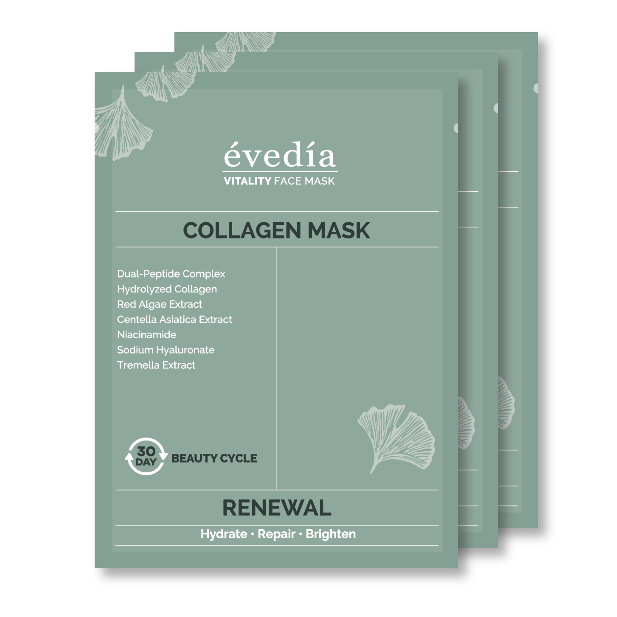 Renewal Collagen Mask | Kassera × Evedia